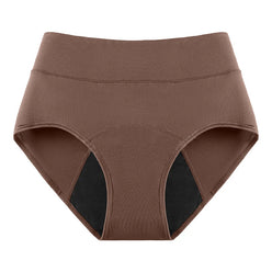 Heavy Flow Cycle Menstruales Period Underwear Sleepover Protective Period Proof Women Menstrual Panties
